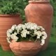 thumbnail image 5 of Geranios artificiales | Flores de tela de seda para decoración de jardines exteriores y centros de mesa para cocinas y hogares - Plantas artificiales realistas para decoración de terrazas, 5 of 7