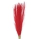 thumbnail image 1 of Uxcell 8Pcs Hierba de Pampas Falsa 21" Falsa Pampas para Decoración de Bodas Roja, 1 of 7