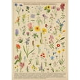 thumbnail image 2 of Puzzle BBOLDIN Vintage Wildflowers 1000 piezas para adulto, 2 of 8
