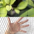 thumbnail image 2 of Anti Bird Bird-prevention Net Netting Mesh For Fruit Crop Plant Tree Garden 2cm Net Hole 5x15/20m Black Nylon Anti Bird Net Mesh, 2 of 5