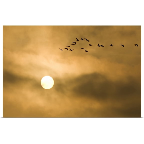 Great BIG Canvas | Rolled Paul Colangelo Poster Print entitled Canada geese, Branta canadensis, Stanley Park, British Columbia
