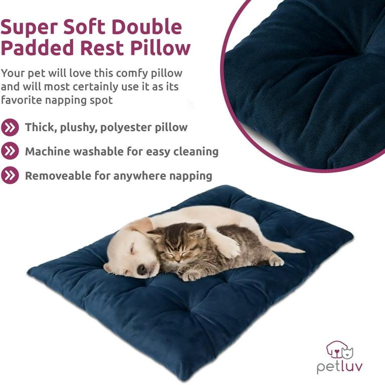 Petluv carrier top