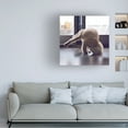 thumbnail image 3 of R. NOB 'Cat Yoga X' Canvas Art, 3 of 3