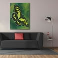 thumbnail image 3 of Epic Graffiti 'Malachite Butterfly' by Barbara Keith, Canvas Wall Art, 40"x54", 3 of 8
