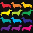 thumbnail image 2 of CafePress - Rainbow Dachshunds Maternity Dark T Shirt - Maternity Dark T-Shirt, 2 of 3