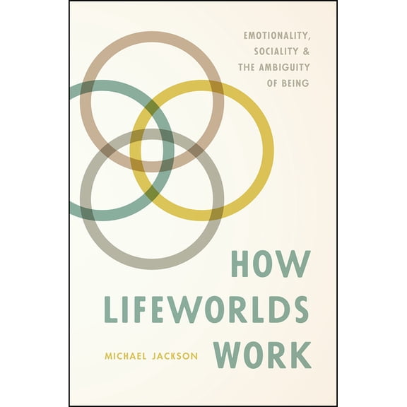 How Lifeworlds Work : Emotionality, Sociality, and the Ambiguity of Being (Paperback)