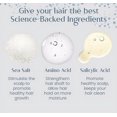 thumbnail image 3 of Ceoerty Root Renew Nourishing Hair Scrub, For All Type Skin, 3 of 5