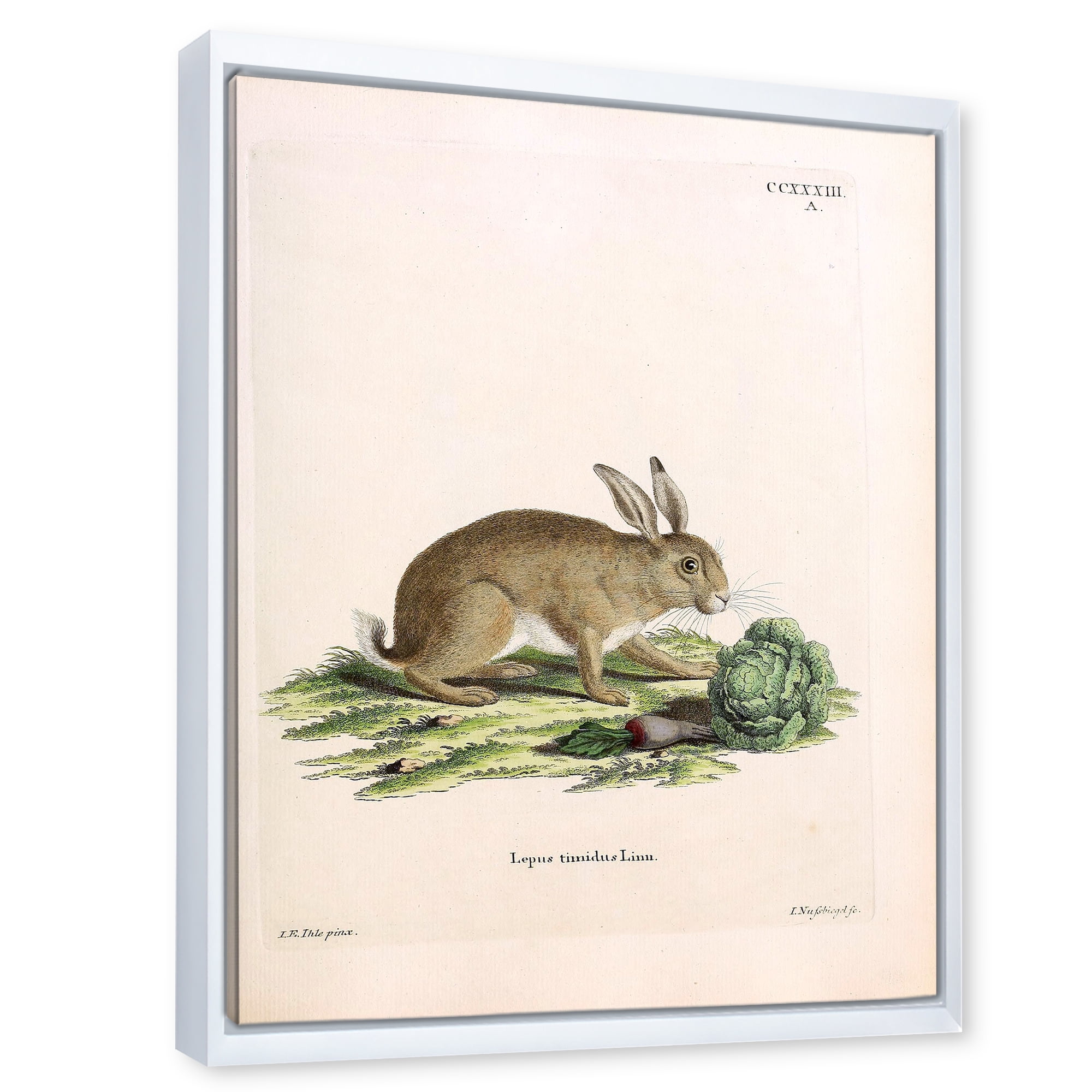 Ancient Rabbits In Earth Tones 12 in x 20 in Framed Painting Canvas Art Print, by Designart