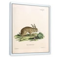 thumbnail image 3 of Designart 'Ancient Rabbits In Earth Tones' Farmhouse Framed Canvas Wall Art Print, 3 of 5