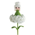 thumbnail image 1 of Flor De Clavel Tejida A Mano Hada Producto Terminado Decoración Para El Hogar Decoración Floral Ramo De Flores Tejido A Ganchillo Decoración Bonita, 1 of 2