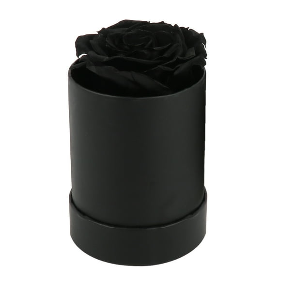 Mini Hug Bucket Preserved Flowers Small Flower Bucket Round Immortal Floral Arrangement Box