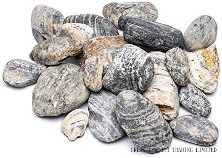 Large Striped Rocks Natural Striped River Stone For Aquarium, Fish Tanks, Terrariums ...
