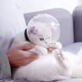 thumbnail image 2 of Capuche de Chat en Forme de Boule Anti Morsure Respirant Transparent Masque Anti Léchage Tête Couverture de Protection, 2 of 5