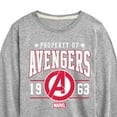 thumbnail image 3 of Marvel The Avengers - Property Of - Toddler And Youth Long Sleeve Graphic T-Shirt, 3 of 5