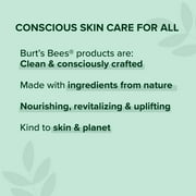 Burts Bees 100% Natural Origin Moisturizing Lip Balm, Vanilla Bean, 1 Tube in Blister Box