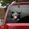 thumbnail image 4 of CAROOTU Funny Car Stickers Electrostatic Decorative Glass Window Decal Sticker Adhesive, 4 of 5