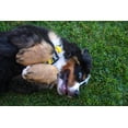 thumbnail image 3 of Yowup Yogurt Premio para Perros Skin & Hair Salmón 115g, 3 of 3