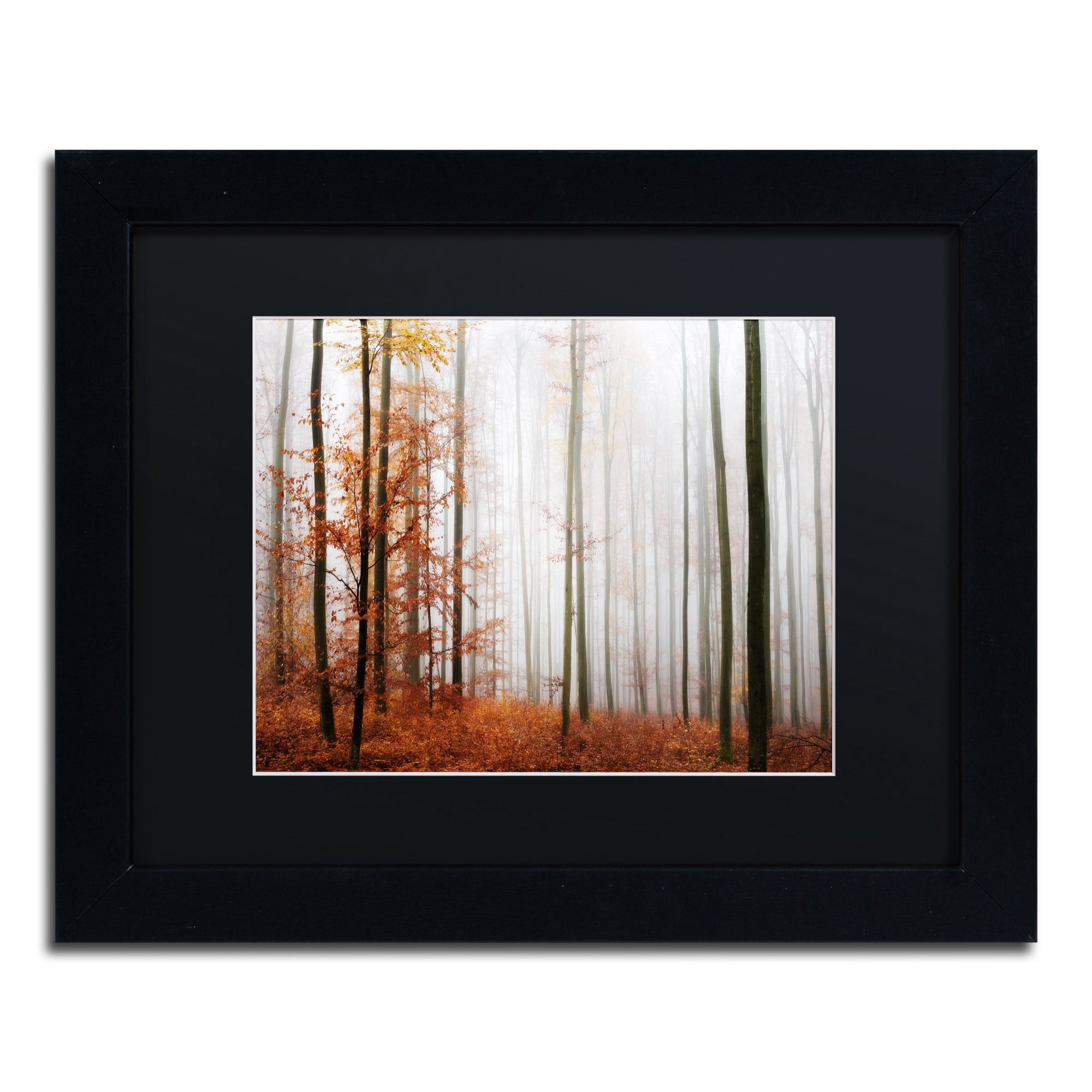 Trademark Fine Art "Forest Corner" Canvas Art by Philippe Sainte-Laudy Black Matte, Black Frame