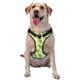 thumbnail image 1 of Fotbe Green Peas Arnés para Perro con Estampado –Chaleco Ajustable Acolchado con Asa de Control para Perros Grandes-Medium, 1 of 6