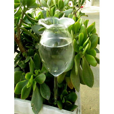 Indoor Automatic Flower Glass Garden Plant Watering Device