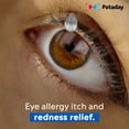 thumbnail image 3 of Pataday Twice Daily Allergy Itch Relief Eye Drops for Adults & Children Aged 2+ Years, 5ml, 3 of 9