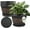 Copper, variant on 6 Pack 8 inch Plant Pots, Retro Pattern Planters with Drainage Holes and Saucer, Sturdy Plastic Garden Flower Pots for Indoor & Outdoor Plants
