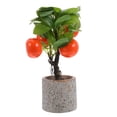 thumbnail image 1 of Naranjo artificial: Decoración de frutas en maceta realistas - Bonsái de cítricos artificiales con mini naranjas - Planta de escritorio moderna para decoración de hogar y oficina, 1 of 6