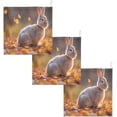 thumbnail image 6 of Coolnut 3 PCS Forest Cute Bunny Baby Muslin Washcloths, Fall Leaves Face Towel Burp Cloths Ultra Soft Absorbent Cotton Bath Wipes Towels for Newborn Boys Girls, 6 of 6