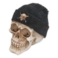 thumbnail image 3 of Resin Skull, High Simulation Lightweight Vivid Skull Ornaments Durable  For Party For Holiday, 3 of 8
