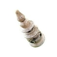 thumbnail image 1 of Transemion Mini Pool Garden Decor Miniature Landscape Space Saving Yard Ornament Type 1, 1 of 6