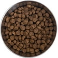 thumbnail image 3 of Health Extension Grain Free Chicken & Turkey Dry Dog Food (1 lb / 0.45 kg) - Whole Foods Ingredients Formula with a Blend of Turmeric & Antioxidants for All Life Stages Dogs, 3 of 10