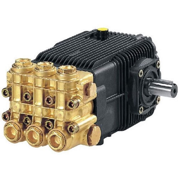 Ar Blue Clean XWM2128N Plunger Pump 5.5 GPM/4060PSI 1450RPM