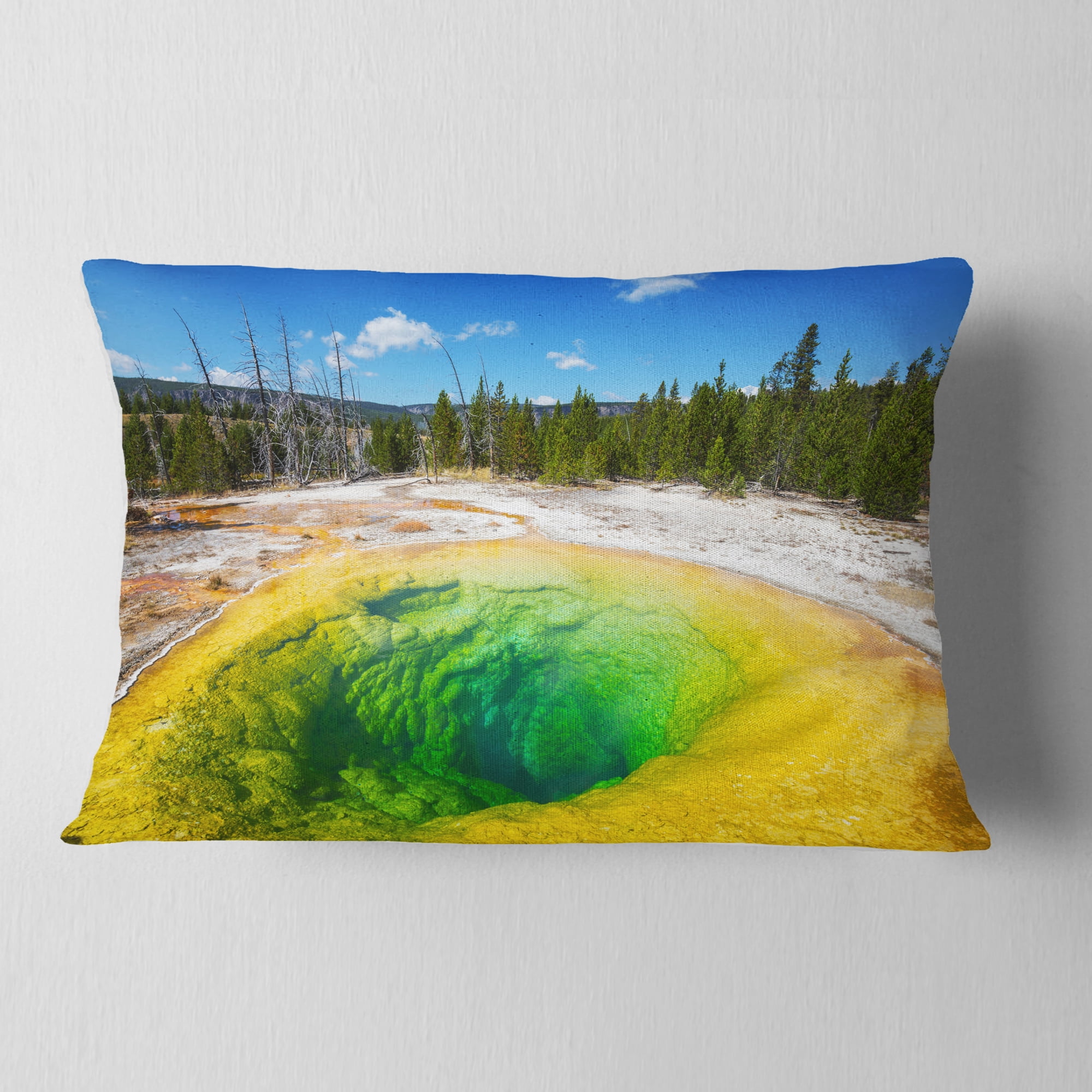 Designart Morning Glory Pool Close up - Landscape Photography Throw Pillow - 12x20