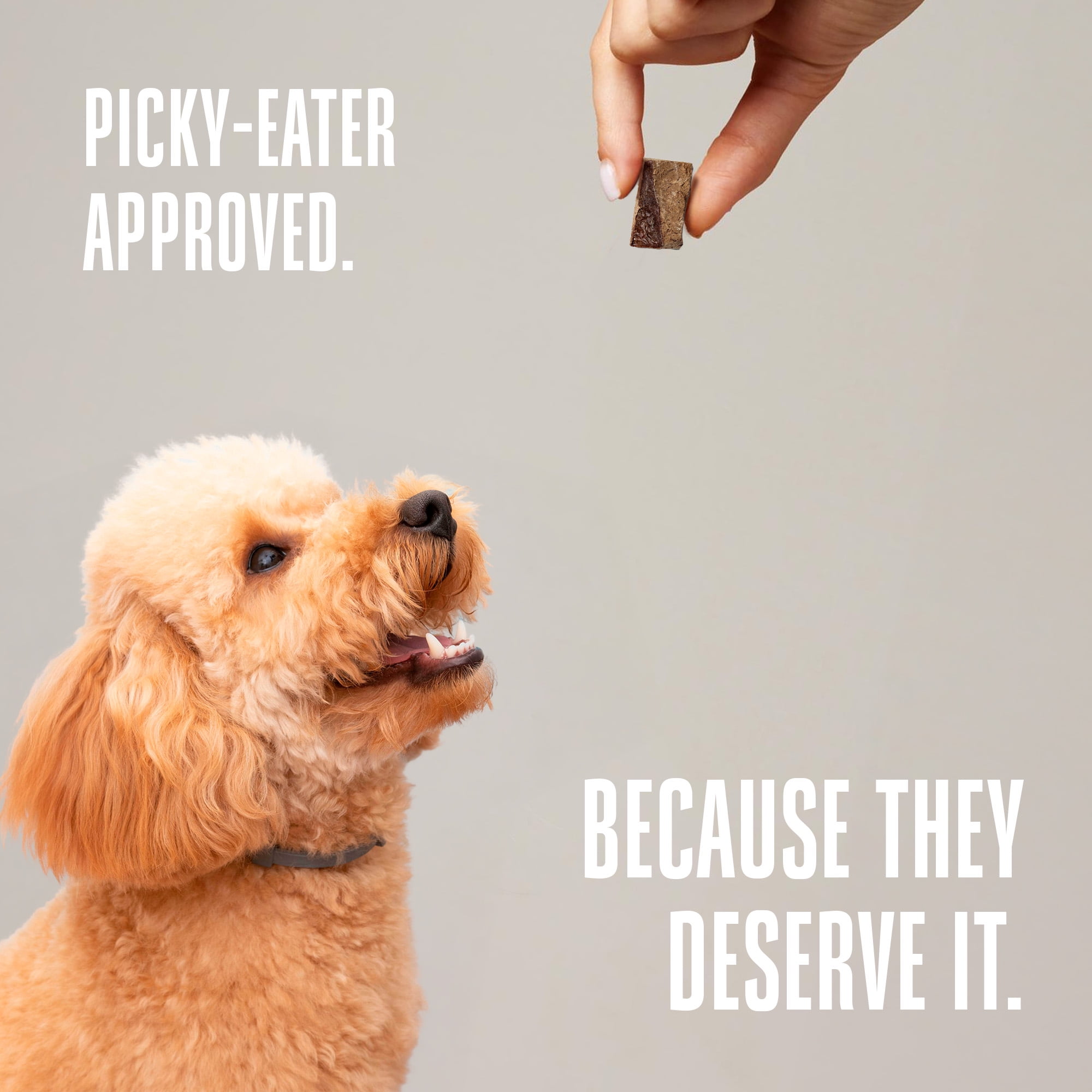 Whole Life Pet Whole Life Pet Just One Ingredient Beef Liver Treats for Dogs, 18oz