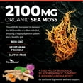 thumbnail image 5 of Forest Leaf Organic Irish Sea Moss Supplement with Bladderwrack and Burdock Root for Digestive Health, 90 Vegetable Capsules, 5 of 10