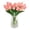 AH, variant on 20 Pcs Fake Tulips Artificial Flowers Real Touch PU Faux Flowers Tulip Stems for Wedding Spring Bouquet Floral Arrangement Home Party Office Decorations for Mother's Day