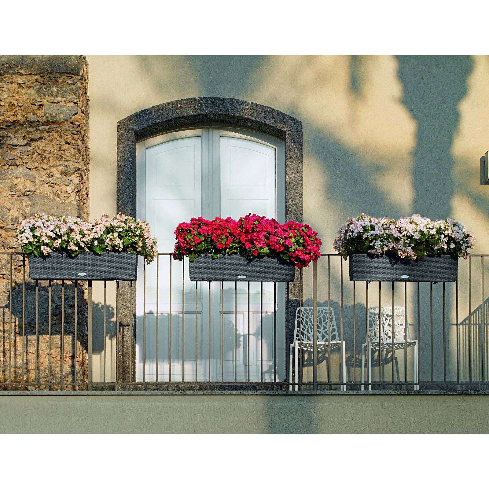 BALCONERA Cottage 80 Mocha, Self-Watering Window Box (Railing Planter), H7.5 L31.5 W7.5 in