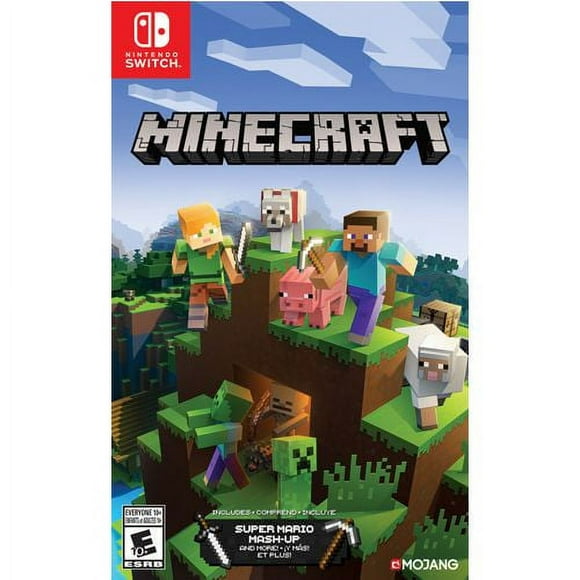 Minecraft (Nintendo Switch), Nintendo Switch