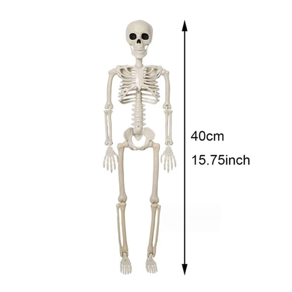 Halloween Decorations Skeleton,Posable Human Shape Skeleton,Halloween Fake Bone Horror Decoration