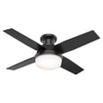 thumbnail image 1 of Hunter Fan Company Dempsey 44" Low Profile Ceiling Fan with Light, 1 of 6