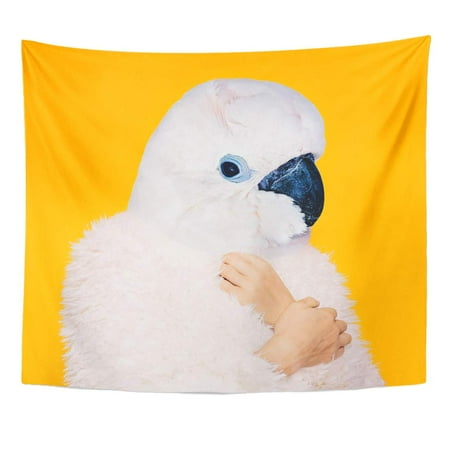 Bird Decor For Home UFAEZU Air Abstract Contemporary Collage White Parrot in Minimal Accessories Bird Wall Art Hanging Tapestry Home Decor for Living Room Bedroom Dorm 51x60 inch ()