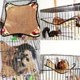 thumbnail image 3 of enqiretly Squirrel Cooling Hammock Rattan Pet Swing Bed Heatstroke Prevention Hammock for Rats Ferret, 3 of 6