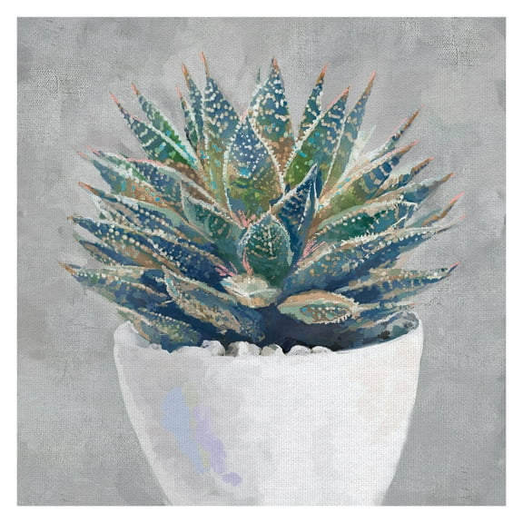 Masterpiece Art Gallery Potted Succulent I By Studio Arts Canvas Art Print 20" x 20"