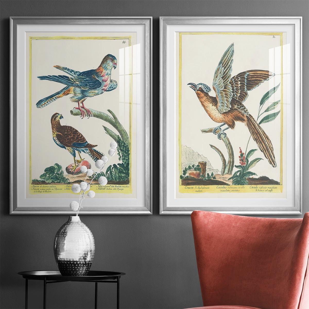 Wexford Home Pastel Birds V Premium Framed Print, 22.5" x 30.5" - Ready to Hang, Silver (Set of 2)