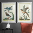 thumbnail image 5 of Wexford Home Pastel Birds III Premium Framed Print, 22.5" x 30.5" - Ready to Hang, Silver (Set of 2), 5 of 9
