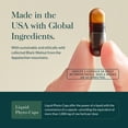 thumbnail image 4 of Gaia Herbs Microbiome Cleanse - With Black Walnut, Sweet Wormwood, Oregano & Peppermint - Support for a Balanced GI Tract & Digestive Health* - 60 Vegan Liquid Phyto-Capsules (60 Servings), 4 of 9