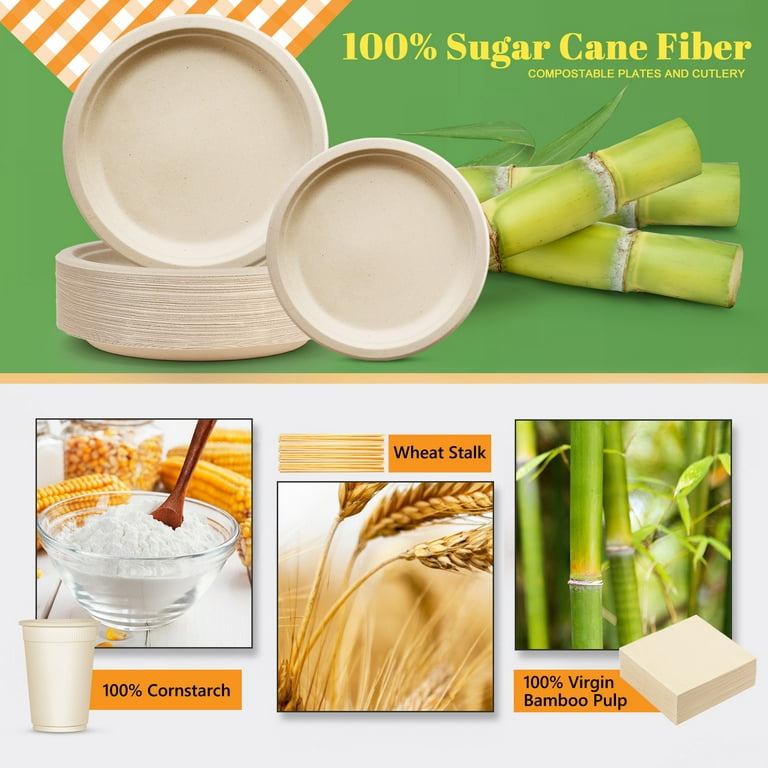 Premium Quality Biodegradable Disposable Plates, Straws, Cups & more!