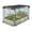 6 x 3 x 1 ft, variant on Pinypikaka 8 x 4 x 1 FT Galvanized Raised Garden Bed with Plant Protection Net and Shade Canopy, Metal Planter Boxes Bottomless for Planting Vegetables, Flowers, Herbs