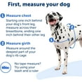 Easy Walk NoPull Dog Harness The Ultimate Harness to Help Stop