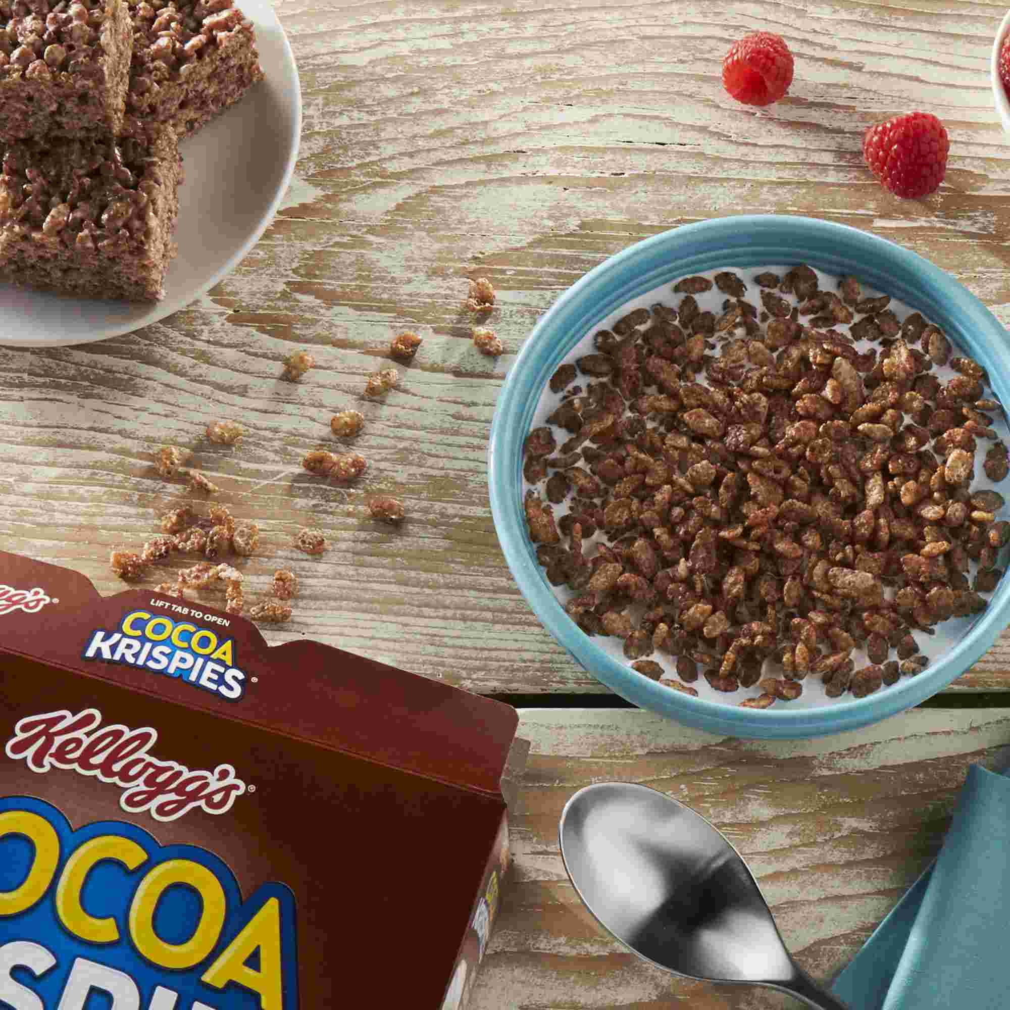 Kellogg's Cocoa Krispies Cereal - 19 oz (Pack of 2)